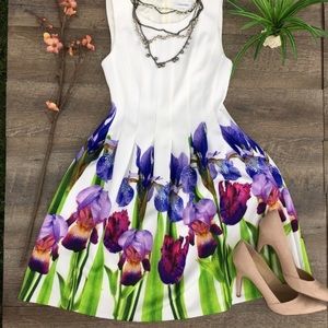 NWT Calvin Klein Fit & Flare Dress